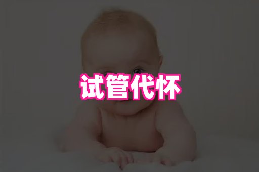 潍坊助孕网 4